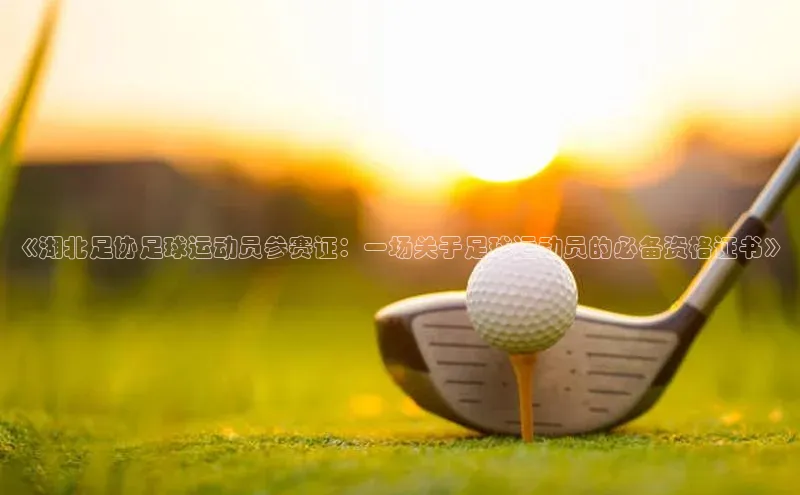 意昂体育4阿里尔公司