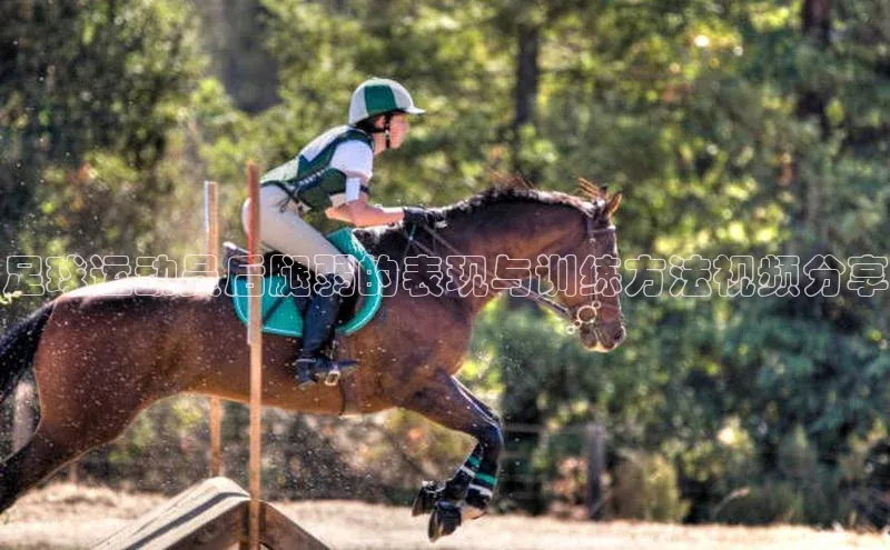 EON4招商视觉中国