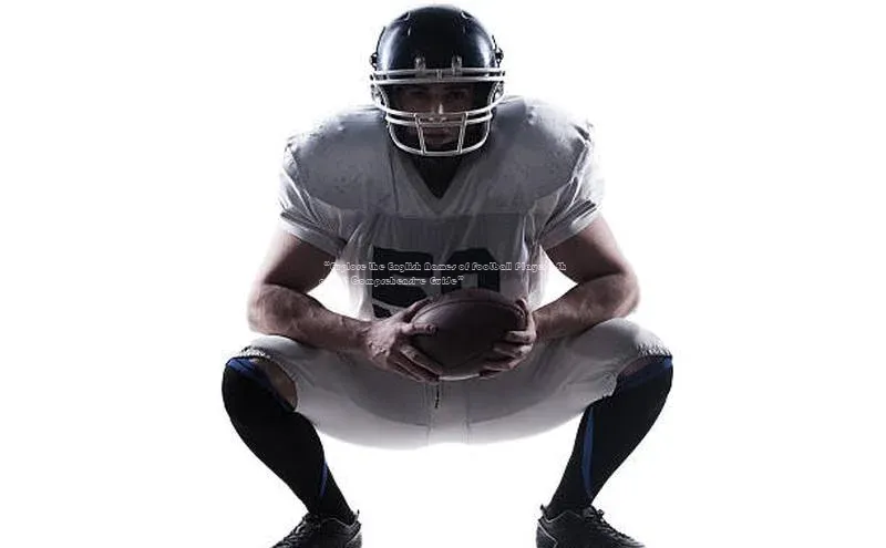 意昂4官网一径科技