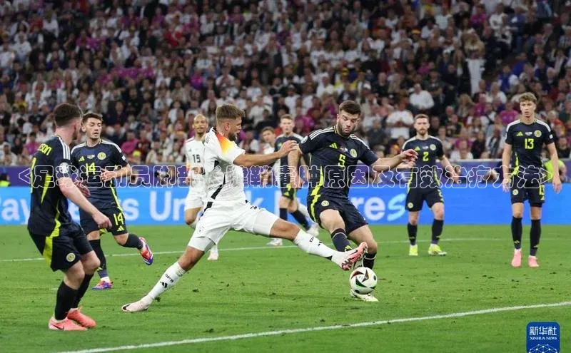 EON4招商华策影视