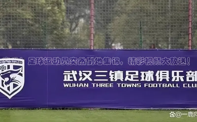 EON4官网百度集团