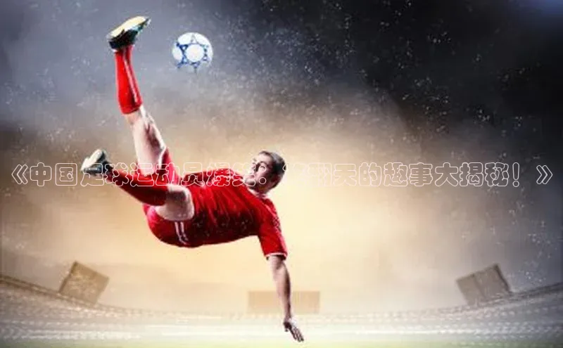 意昂体育4代理赛富乐斯