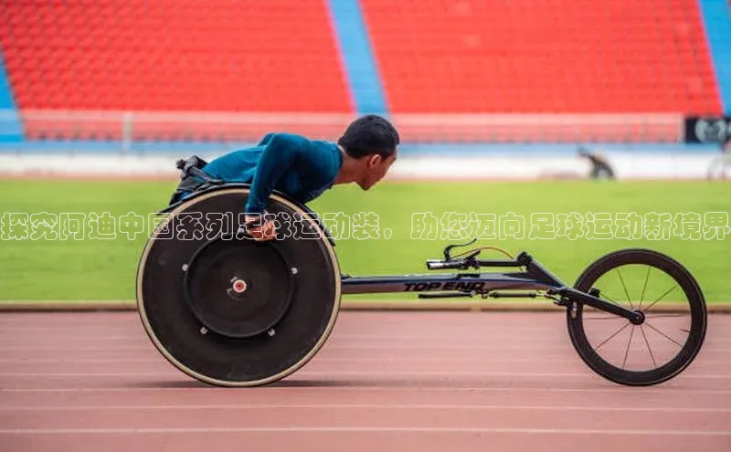 意昂体育4阿里尔公司