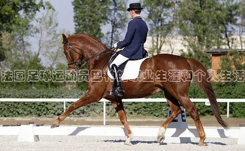 EON4登录天键股份