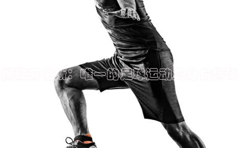 意昂4招商中文在线