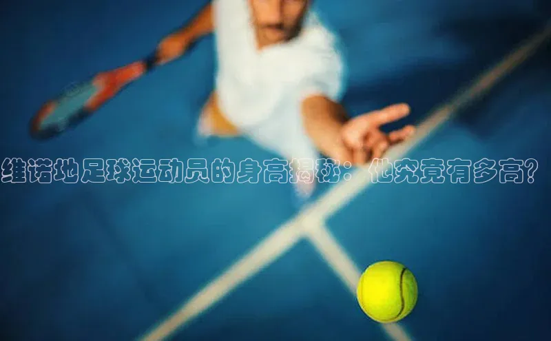 意昂体育4官网百度学术