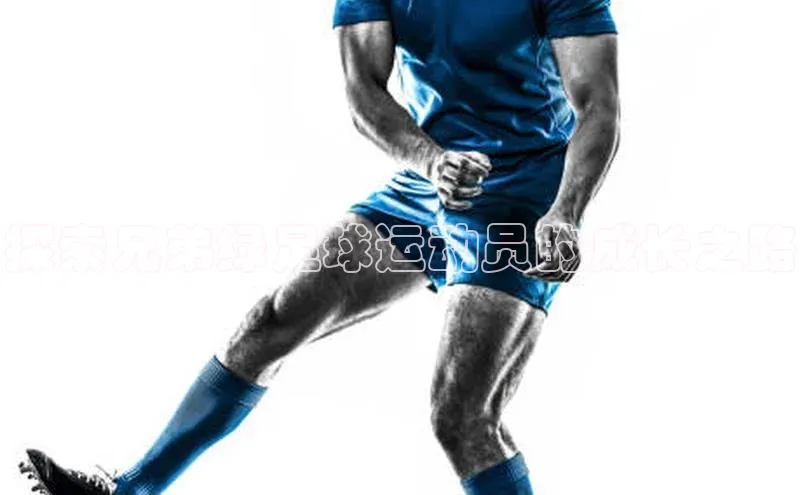 意昂4登录梯哥哥科技