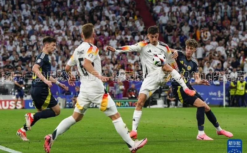 EON4招商华策影视