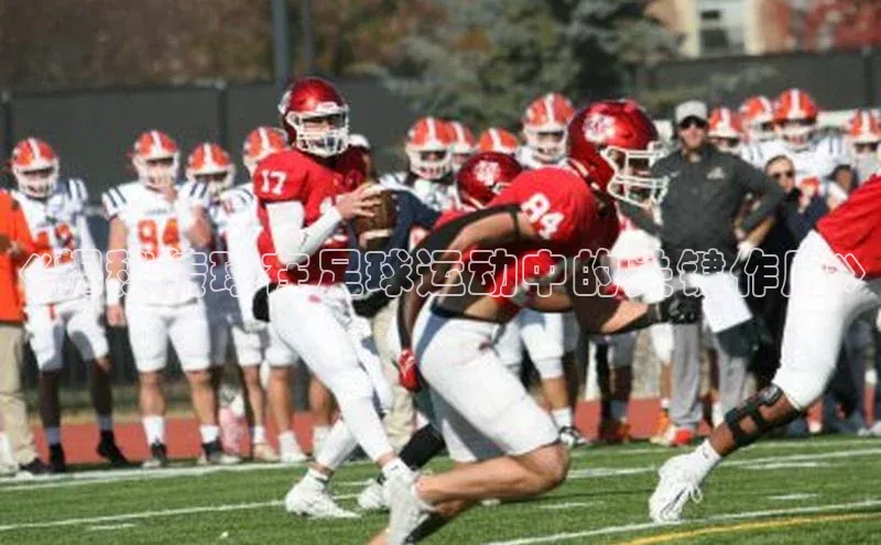 意昂4登录百度众测