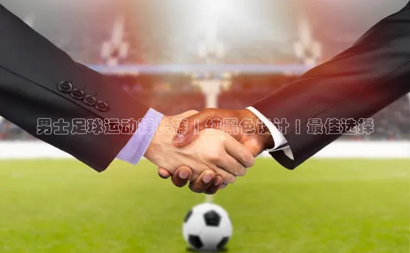 意昂体育4阿里尔公司