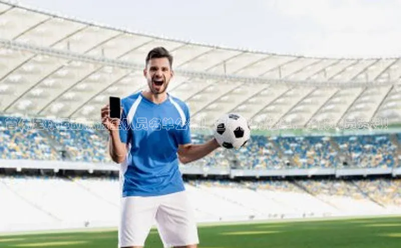 EON体育4登录金山办公