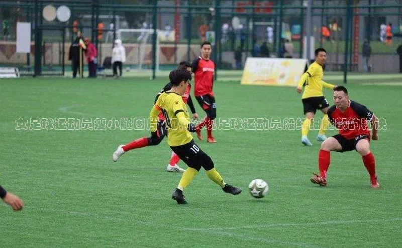 意昂体育4官网百度手机输入法