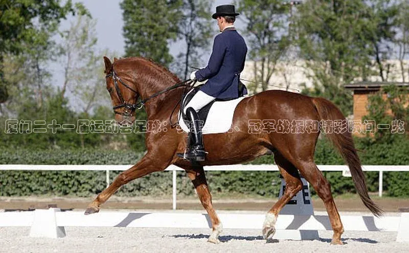 EON4招商百度数据开放平台