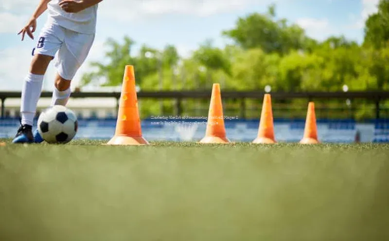 EON4招商百度网盘