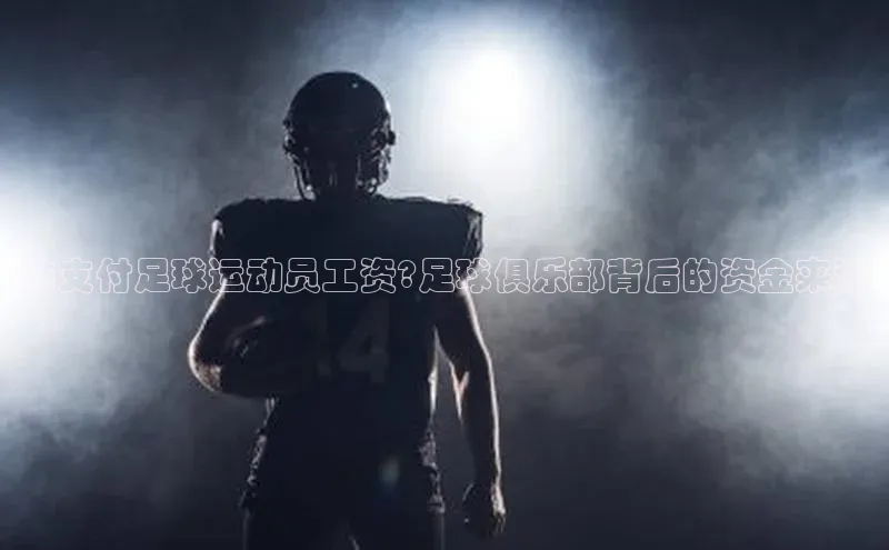 意昂体育4代理赛富乐斯